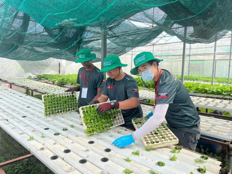YSS student volunteers — GSVC Vietnam 2025 mission